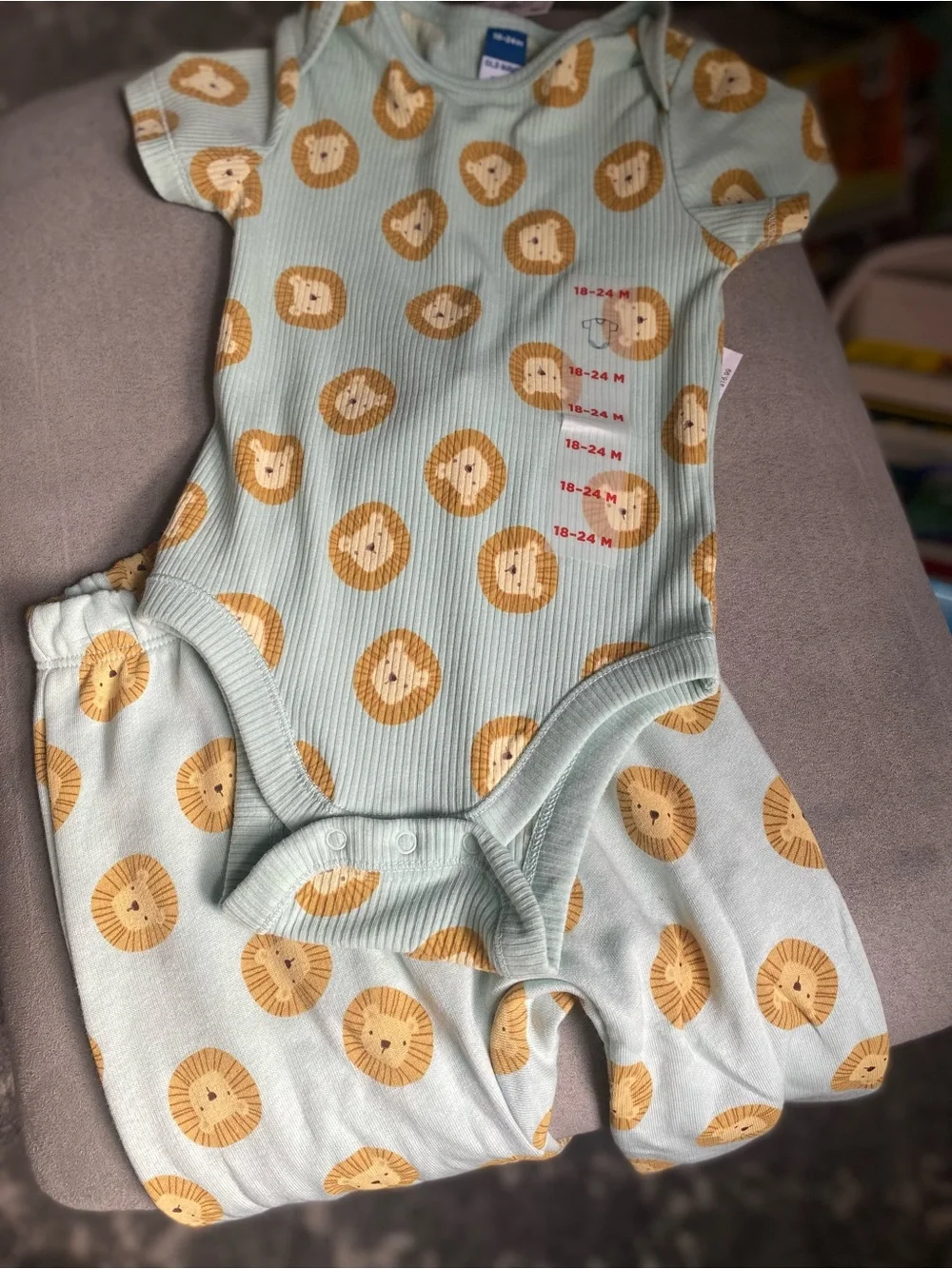 Old Navy Sage Green Lion Print Matching Bodysuit Set